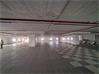 Commercial Retail showroom for Rent